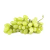 Raisin de table Blanc Centennial Bio