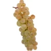 Raisin de table Blanc Chasselas Bio