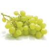 Raisin de table Blanc Exalta Bio