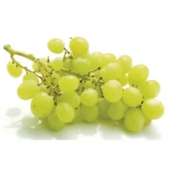 Raisin de table Blanc Exalta Bio