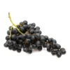Raisin de table Noir Bio