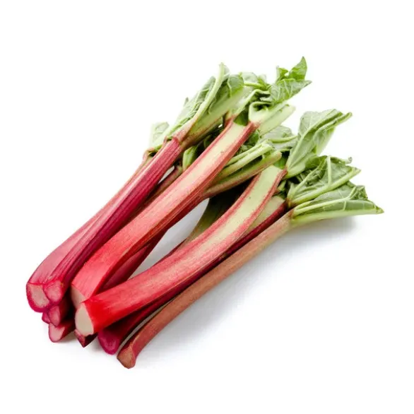 Rhubarbe Bio