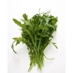 Roquette Bio