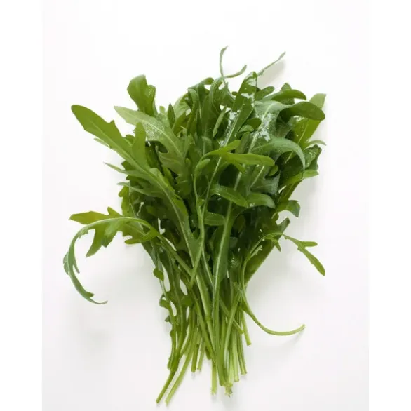 Roquette Bio