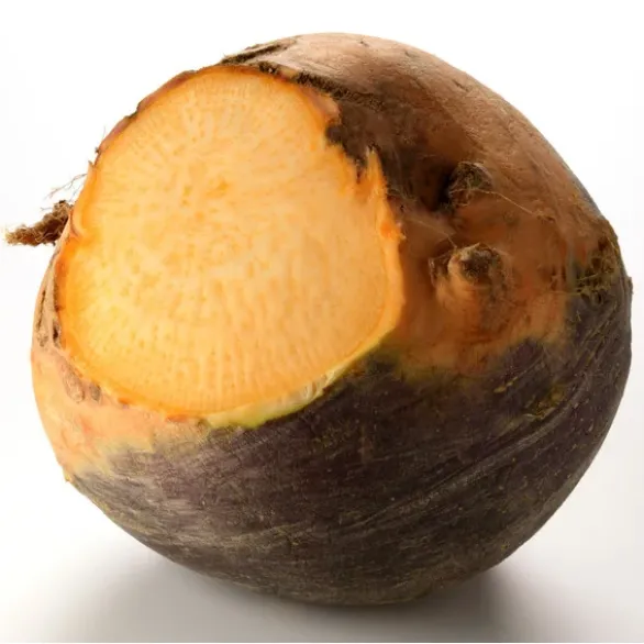 Rutabaga Bio