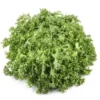 Salade Frisée (pièce) Bio