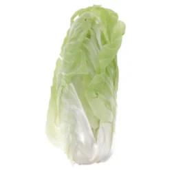 Salade Pain de Sucre (pièce) Bio