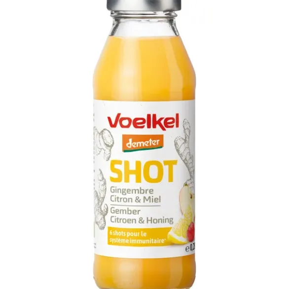 Shot gingembre citron miel 28cl