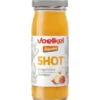 Shot gingembre 95ml
