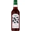 Sirop de cassis au sucre de canne 50cl