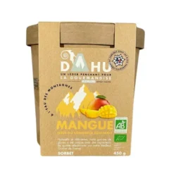Sorbet mangue 450g