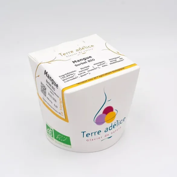 Sorbet mangue 370g