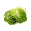 Sucrine (pièce) Bio