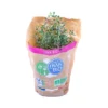 Thym Pot Bio