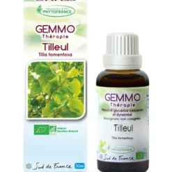 Tilleul (Tilia tomentosa)