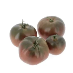 Tomate ancienne véritable Noire de Crimée Bio