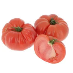 Tomate ancienne véritable Russe Bio