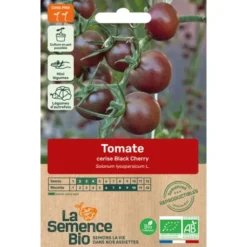 Tomate cerise Black Cherrysemence 0,1g