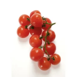 Tomate Cerise Grappe Ronde Vrac Rouge Bio