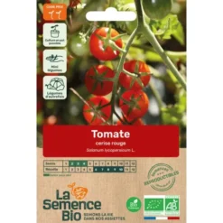 Tomate cerise rougesemence 0,1g