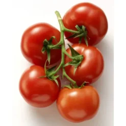 Tomate Grappe Bio