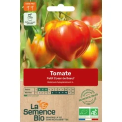 Tomate Petit Coeur de Boeuf semence 0,11g
