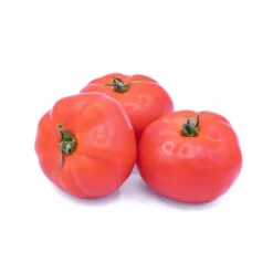 Tomate Ronde à farcir Bio