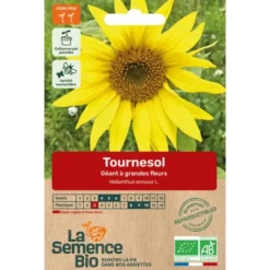 Tournesol Géant à grandes fleurs semence 3,5g