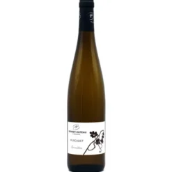 Vin blanc AOP Muscadet 75cl