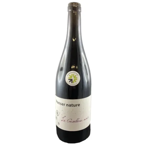 Vin de France Penser Grolleau SSAJ 75cl