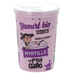 Yaourt myrtille entier 500g