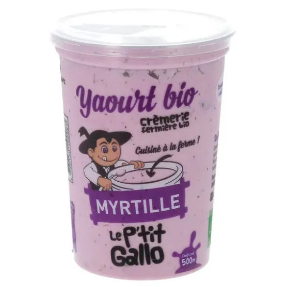 Yaourt myrtille entier 500g